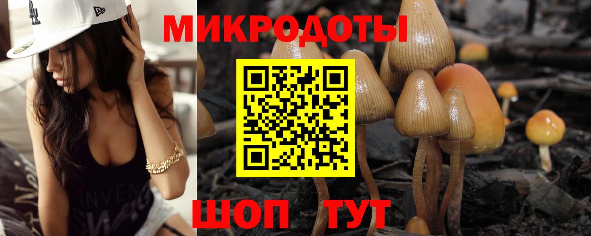 Псилоцибиновые грибы прущие грибы Богородицк
