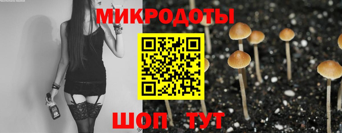 Богородицк  Псилоцибиновые грибы Magic Shrooms  Вход с VPN  Галлюциногенные грибы ЛСД 