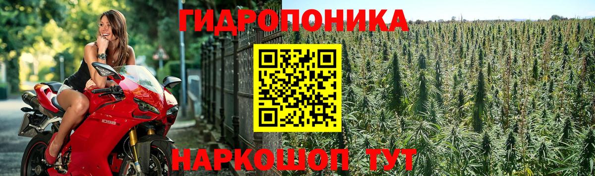 Конопля VHQ  Вход с VPN  Марихуана конопля  Бошки марихуана семена  Богородицк 